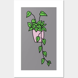 Hangplant Philodendron Scandens Color Posters and Art